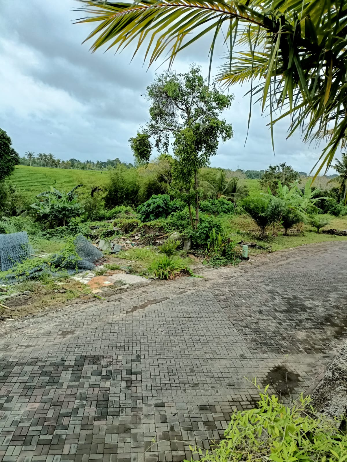 WhatsApp Image 2022-02-19 at 7.48.00 PM