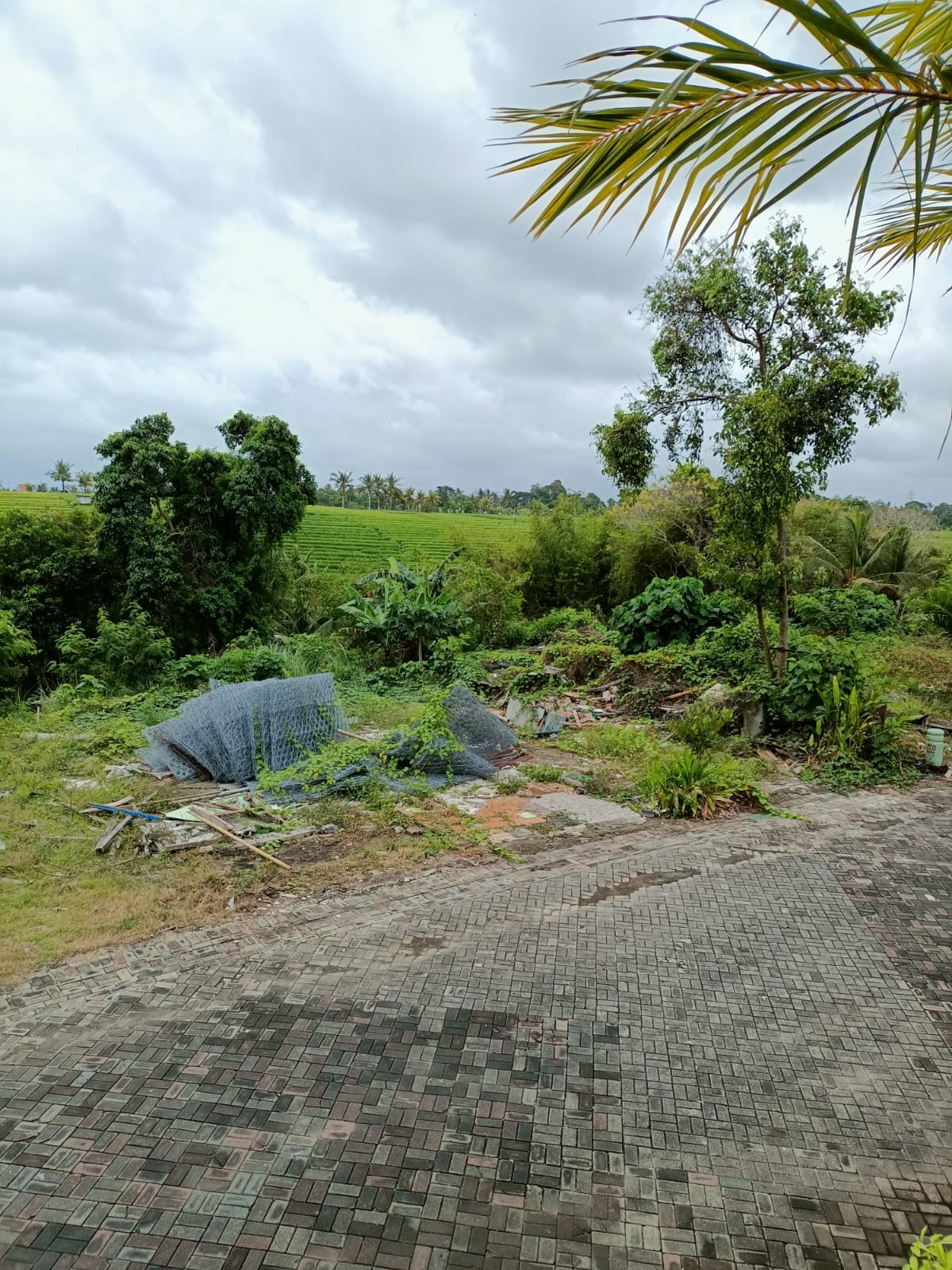 WhatsApp Image 2022-02-19 at 7.48.01 PM (1)