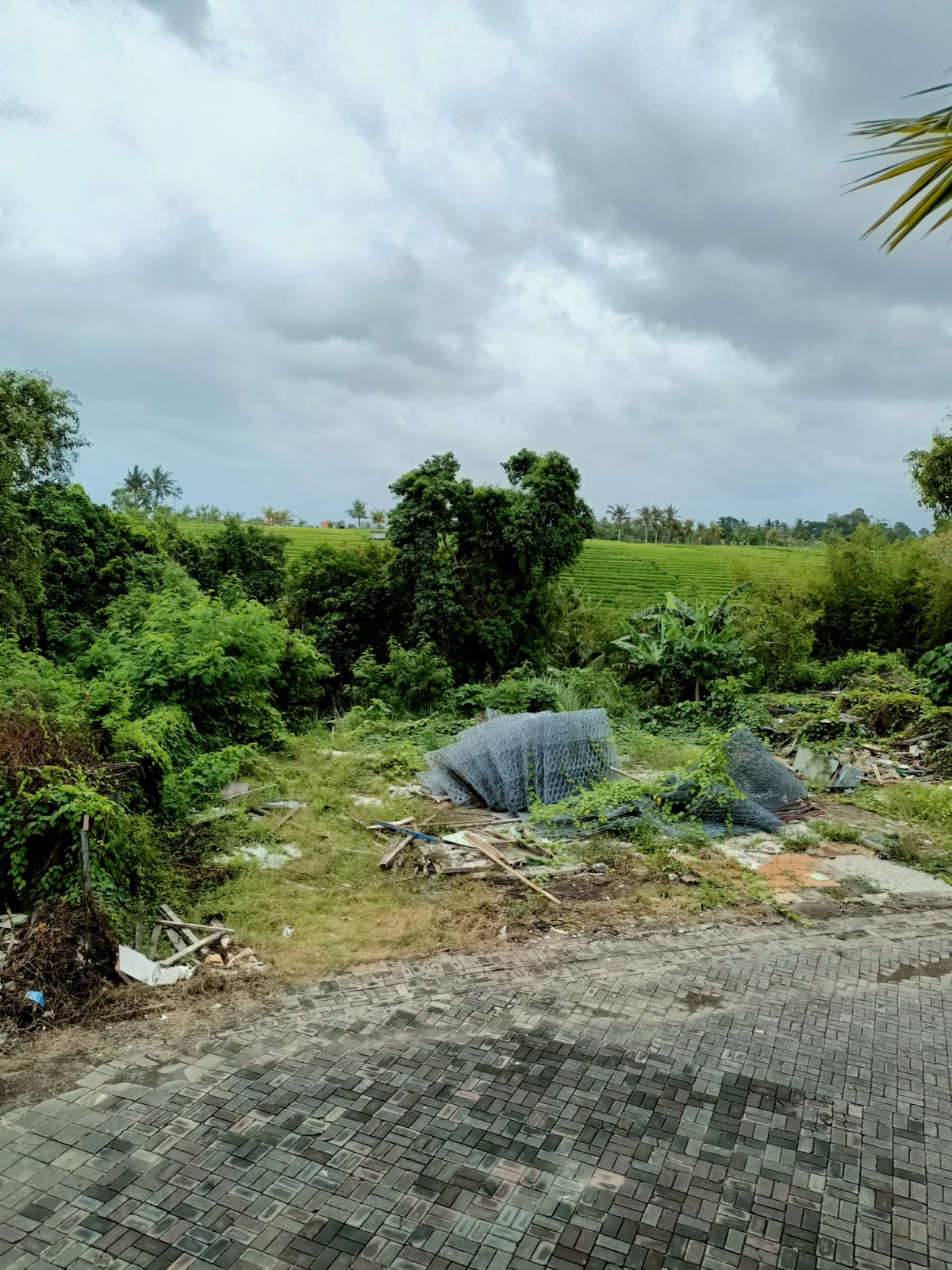 WhatsApp Image 2022-02-19 at 7.48.01 PM