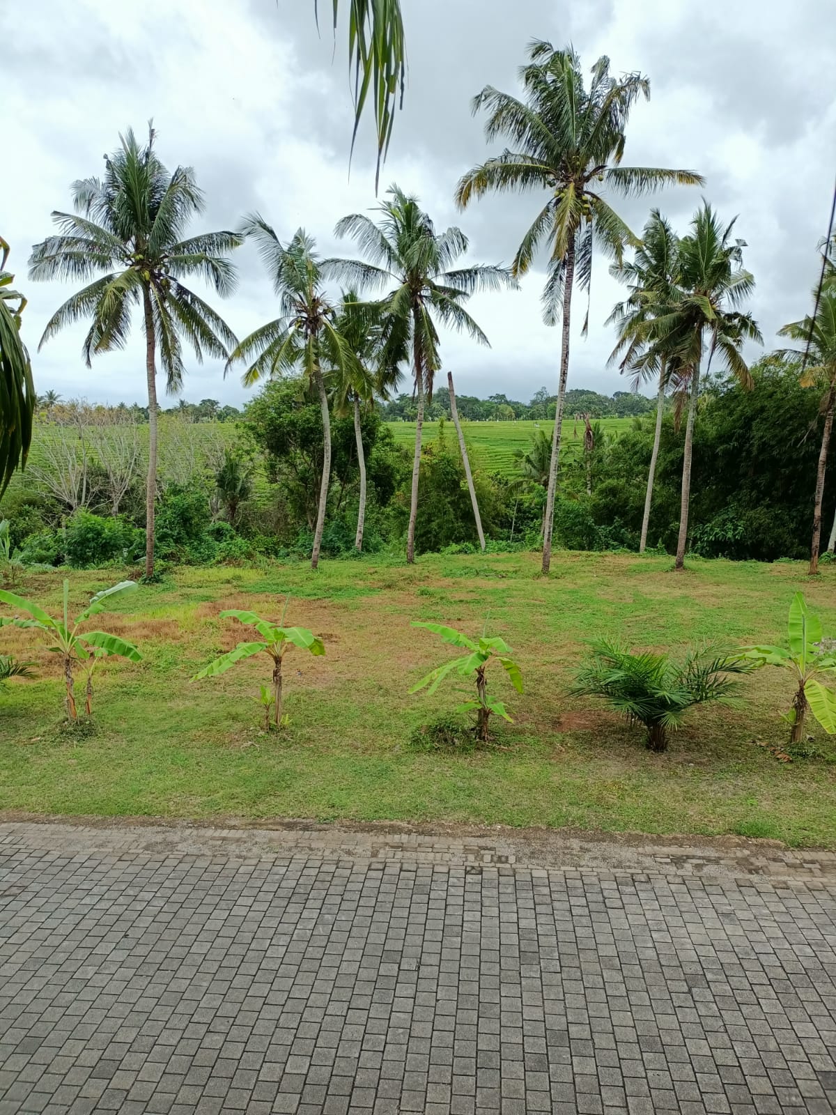 WhatsApp Image 2022-02-19 at 7.48.02 PM (1)