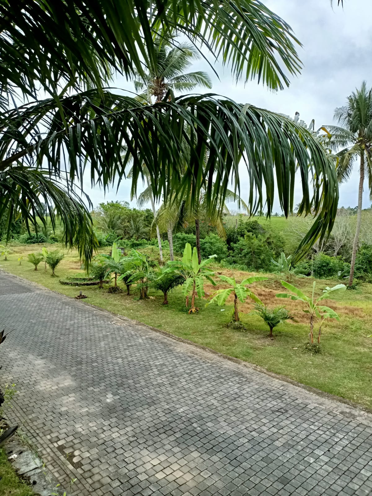 WhatsApp Image 2022-02-19 at 7.48.02 PM