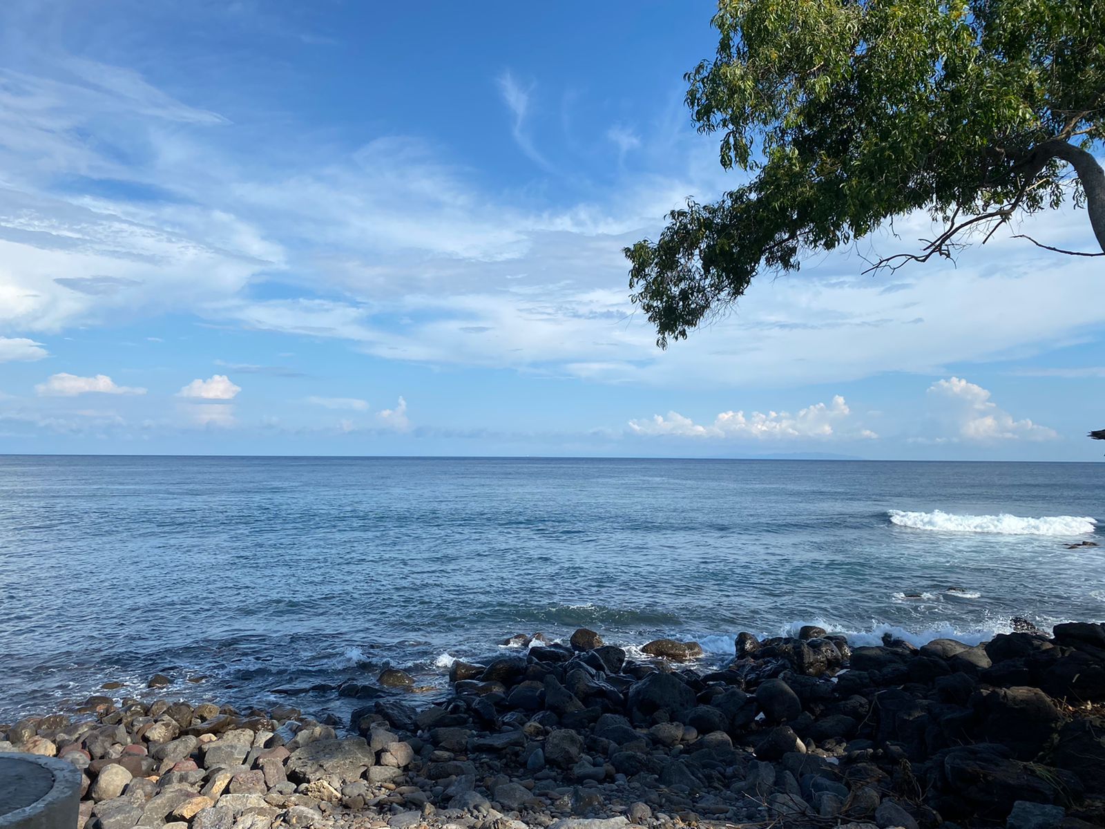 WhatsApp Image 2022-02-19 at 7.48.45 PM