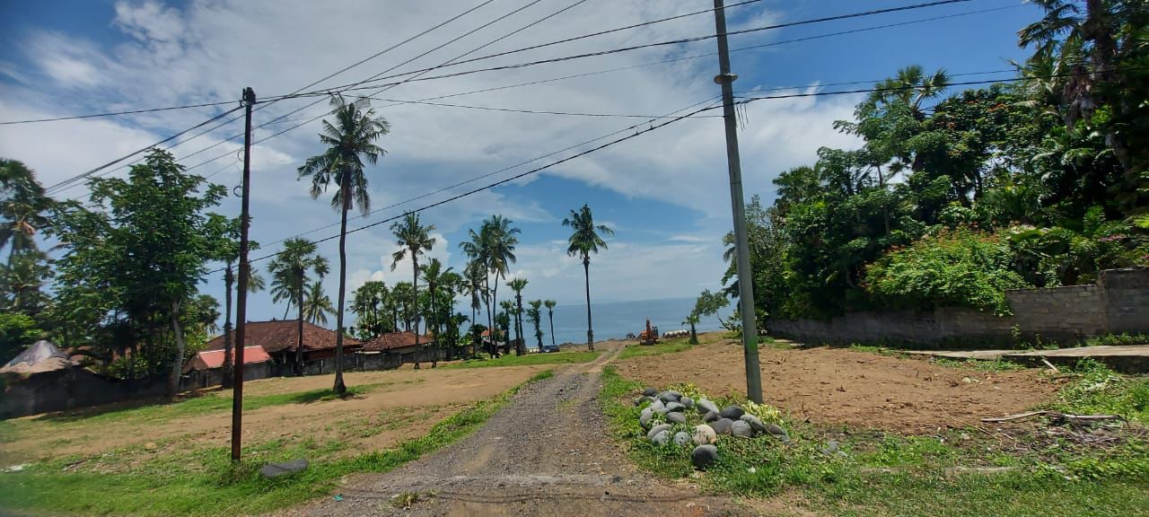 WhatsApp Image 2022-02-19 at 7.48.46 PM (1)