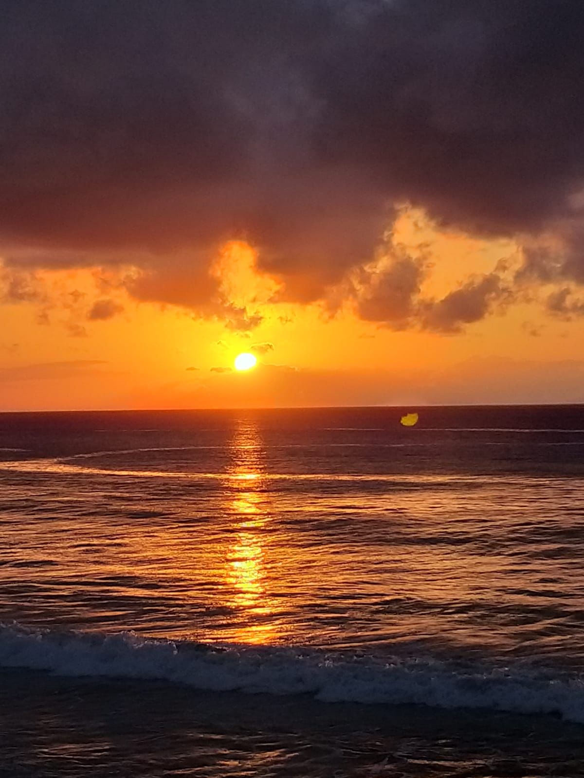 WhatsApp Image 2022-02-19 at 7.48.46 PM (2)