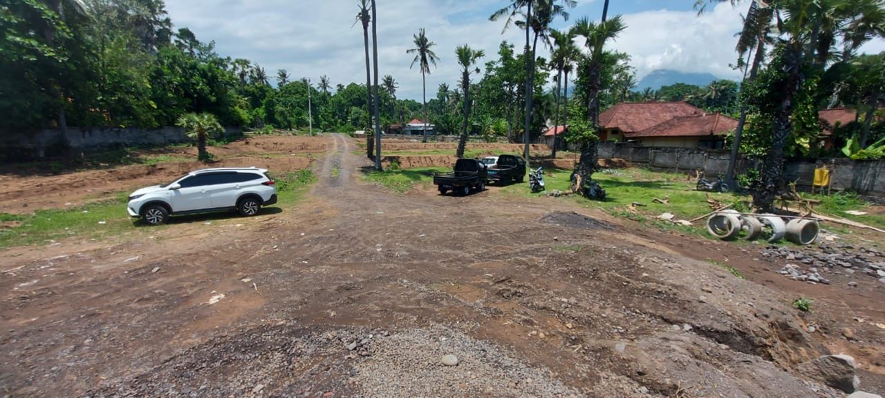 WhatsApp Image 2022-02-19 at 7.48.48 PM