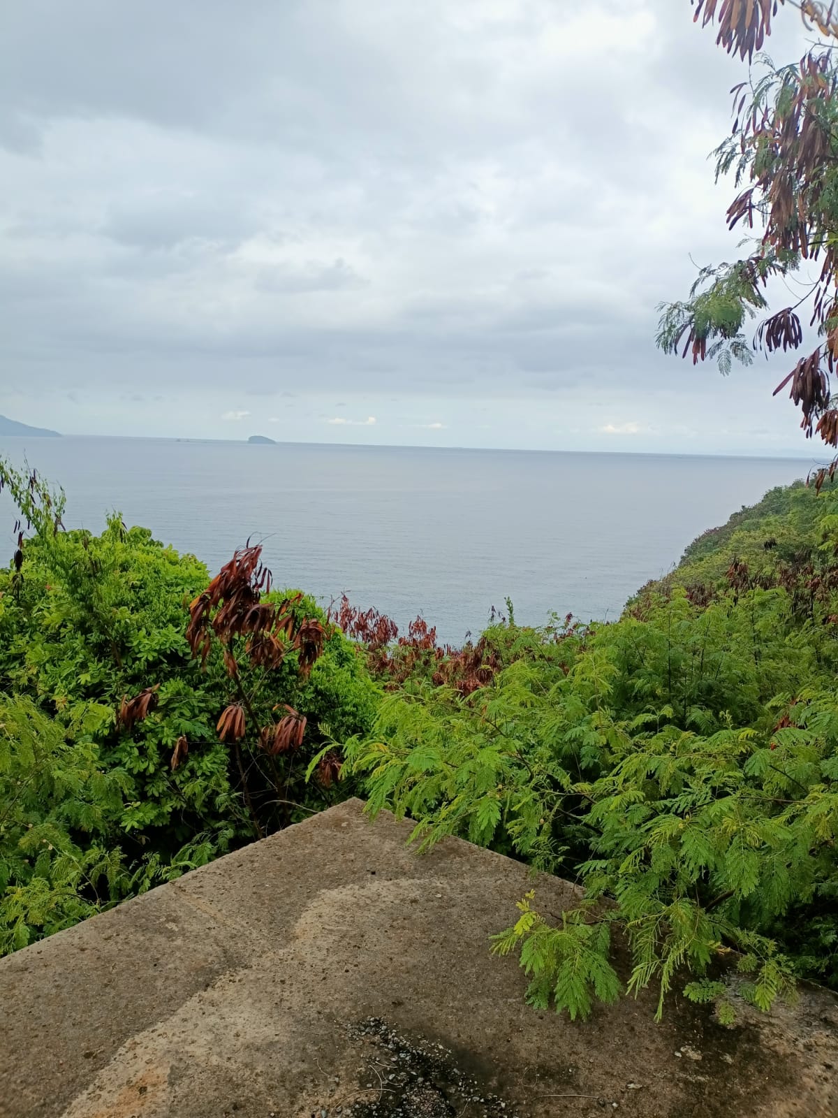 WhatsApp Image 2022-02-19 at 7.54.21 PM