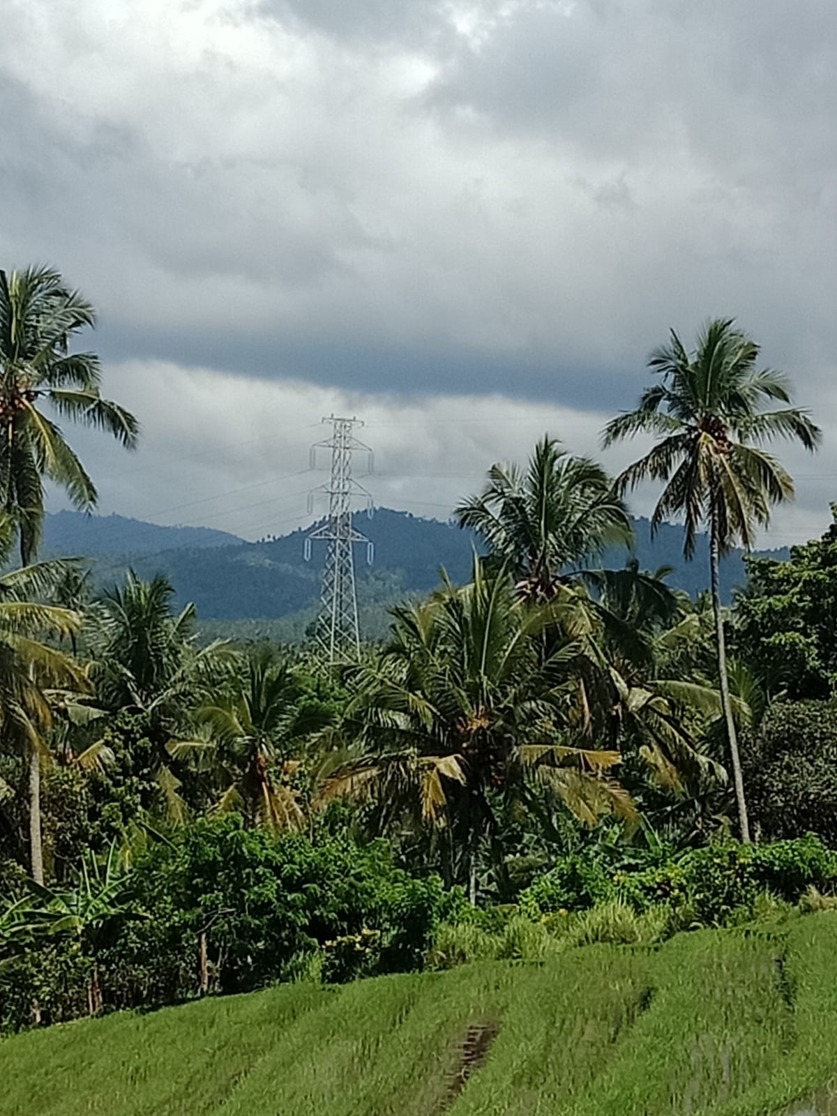 WhatsApp Image 2022-02-19 at 8.11.11 PM (1)