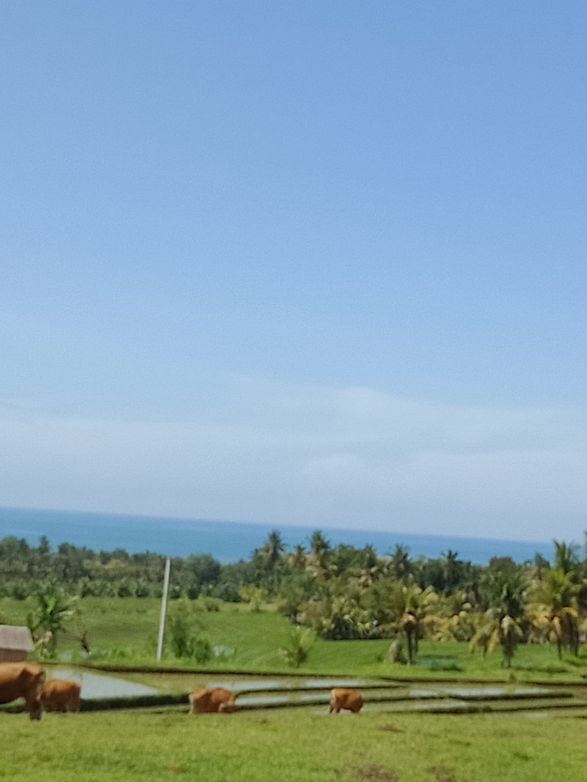 WhatsApp Image 2022-02-19 at 8.11.11 PM