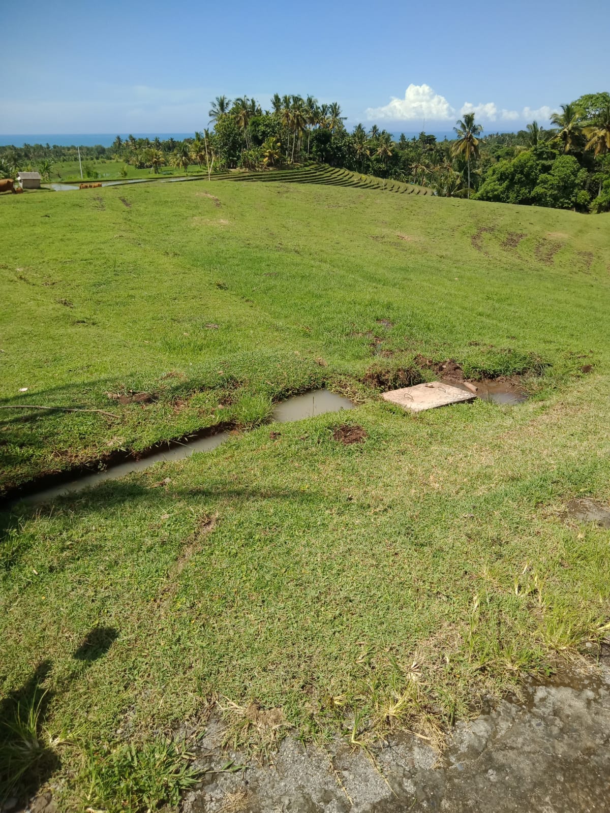 WhatsApp Image 2022-02-19 at 8.11.12 PM (1)