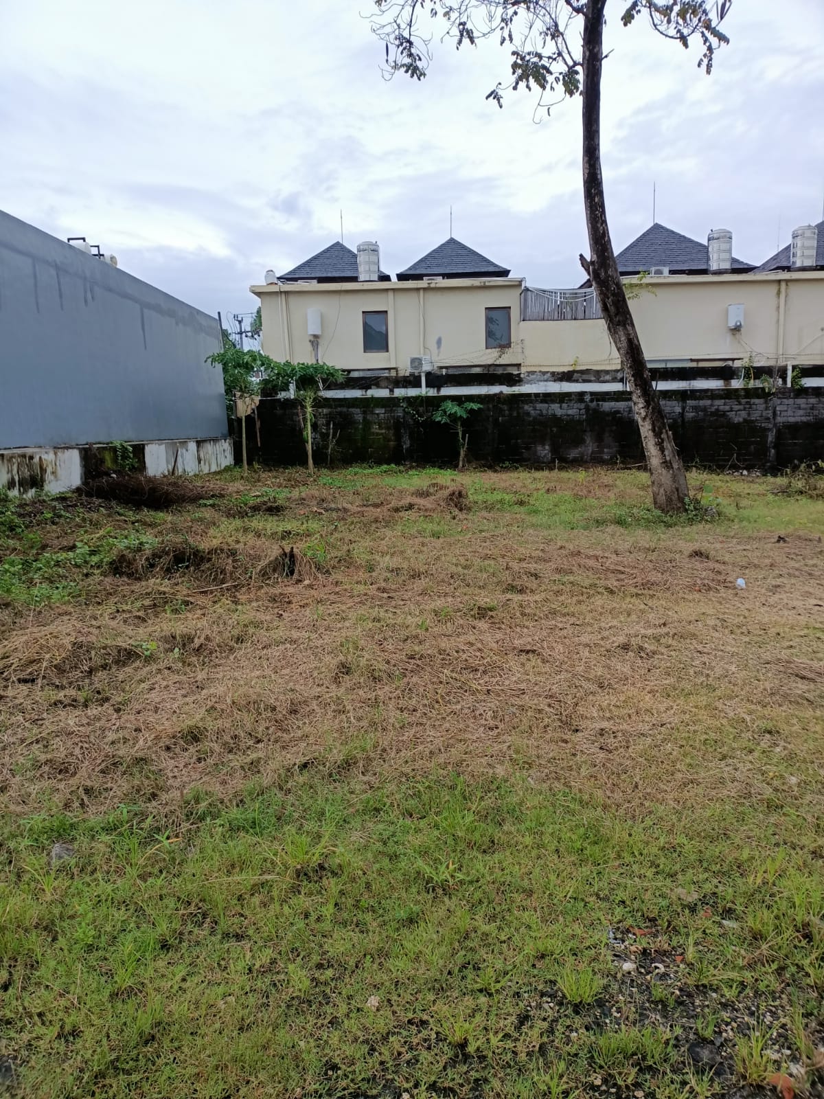 WhatsApp Image 2022-02-19 at 8.15.29 PM