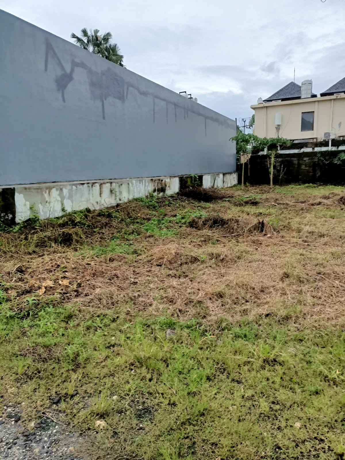 WhatsApp Image 2022-02-19 at 8.15.54 PM (1)