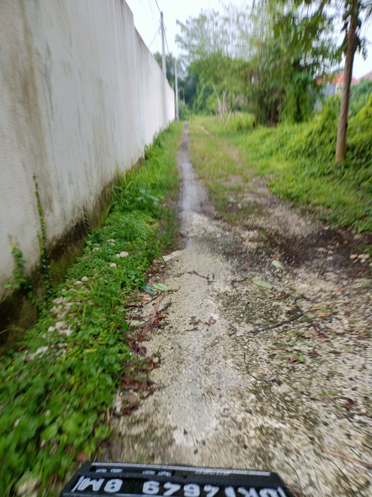 WhatsApp Image 2022-02-19 at 8.15.54 PM