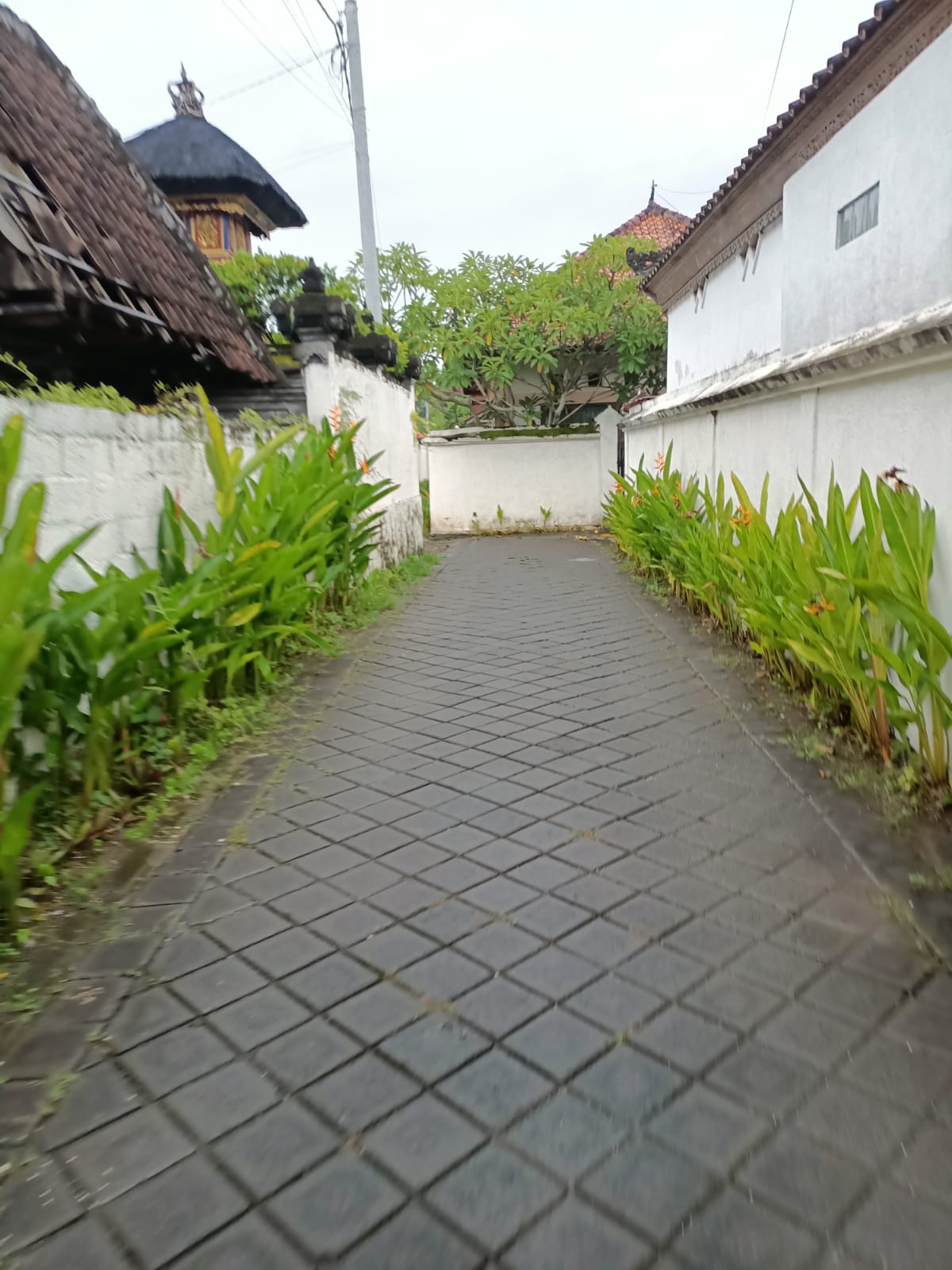 WhatsApp Image 2022-02-19 at 8.15.55 PM (1)