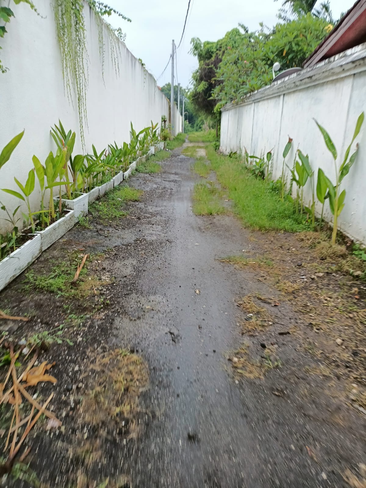 WhatsApp Image 2022-02-19 at 8.15.55 PM