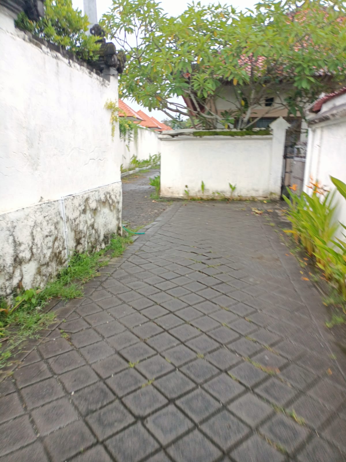 WhatsApp Image 2022-02-19 at 8.15.56 PM (1)