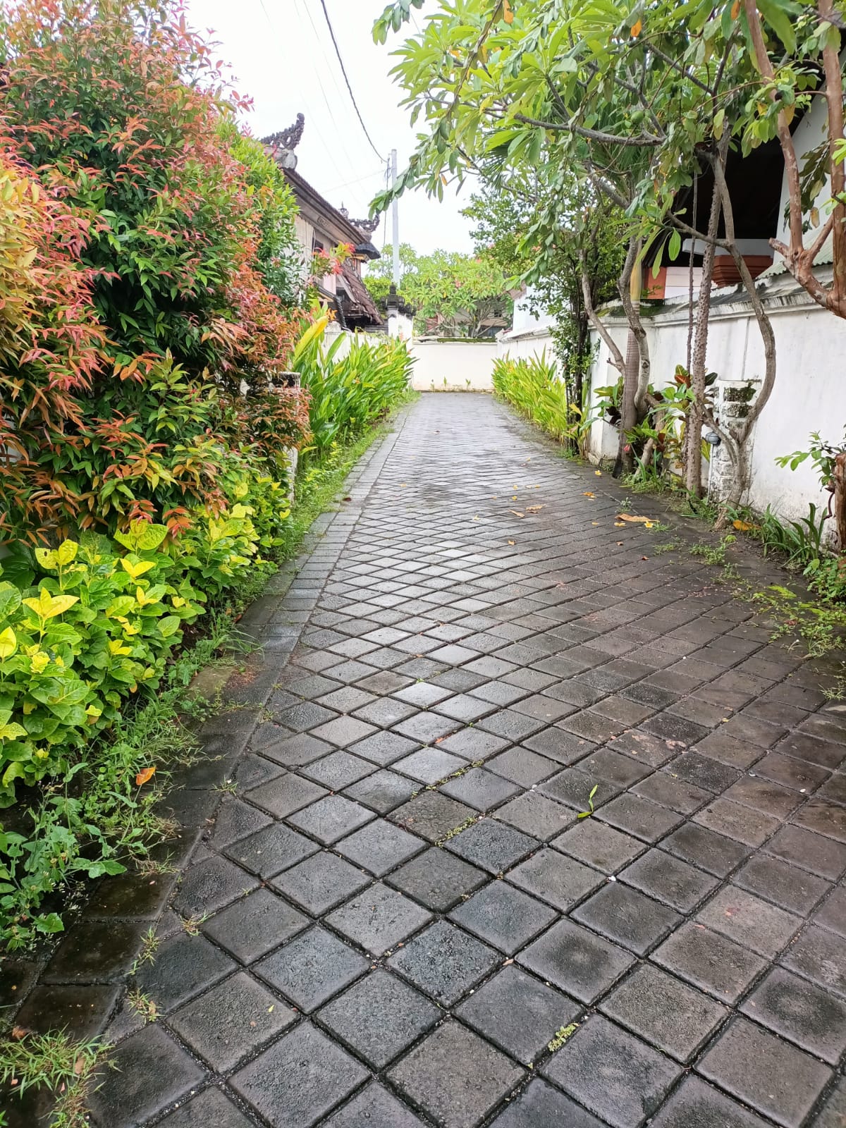 WhatsApp Image 2022-02-19 at 8.15.56 PM