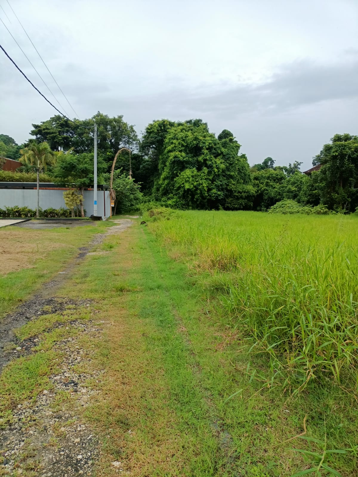 WhatsApp Image 2022-02-19 at 8.15.57 PM (1)